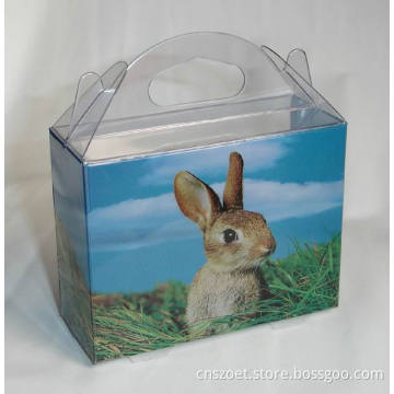 Custom Plastic Clear PP/PVC/Pet Printing Gift Packing, Gift Packaging Box